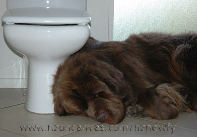 Hope you're not in a hurry!