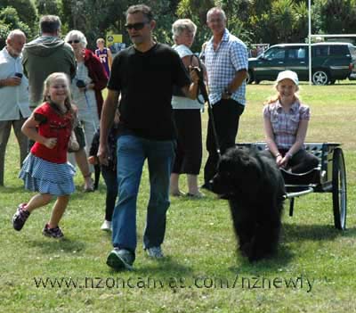 Newfoundland Henry conjures up smiles at the final Brooklands Gala Day