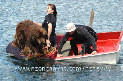 Newfoundland Enzo disembarks the dinghy...