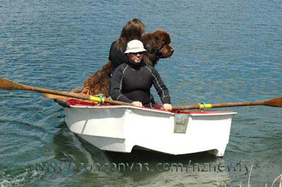 Newfoundland Enzo learns to ride in a dinghy
