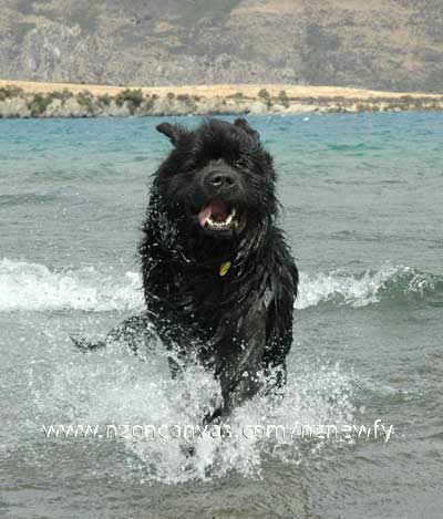 AAAAAAAAaaaaaaaaaaaaahhhhhhhh!