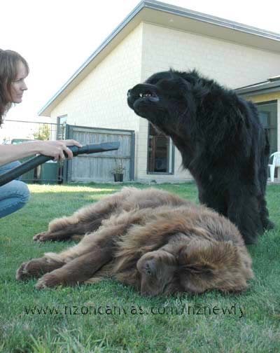 Makes my jowels flap around!