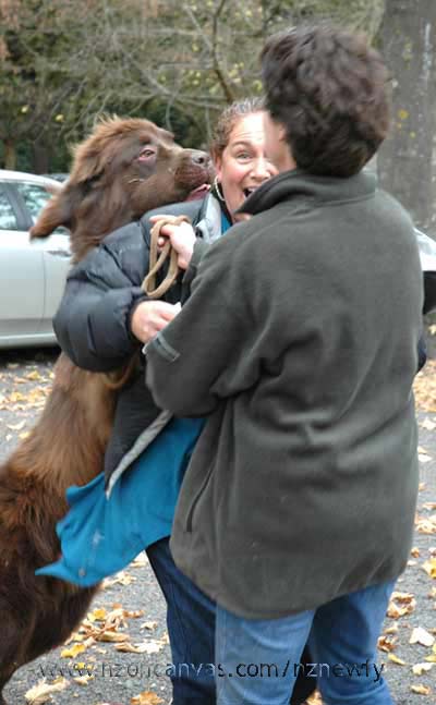 Christian the Newfoundland
