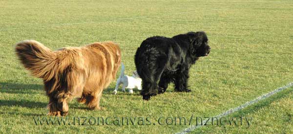 One of these things is not like the others...