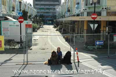 Newfoundlands Henry & Enzo at New Regent Street, Christchurch, NZ