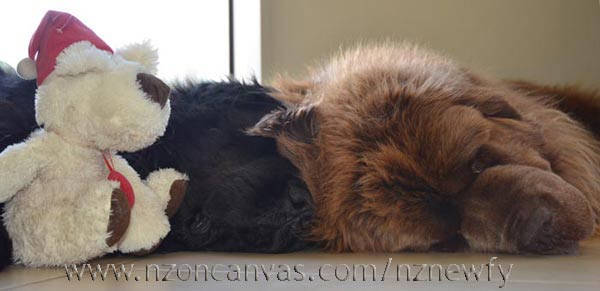 Morning after the night before