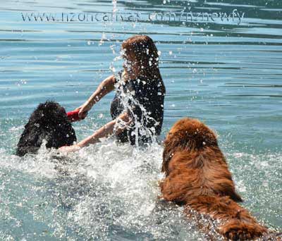 Newfoundland Enzo gets a kick out of splashing Michelle