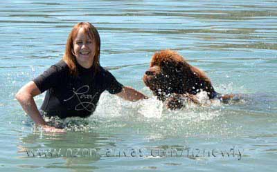 newfoundland enzo attempting to get Mum wet...