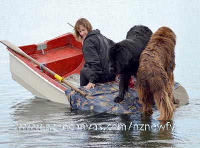 two Newfs on the bow...