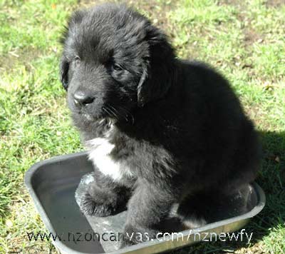 Please Sir...Can I have some more?