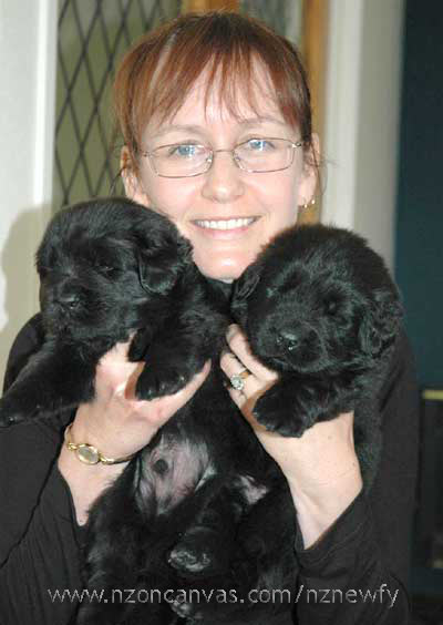 Michelle with two Newfoundland pups