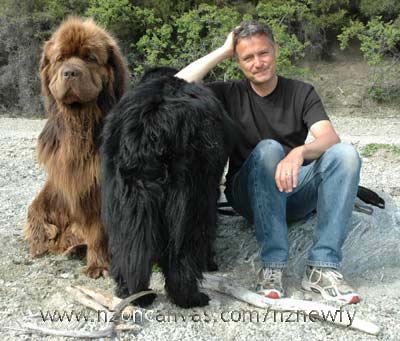 From left to right; Enzo, Henry's butt and Grant