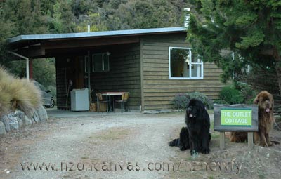 Henry & Enzo at the Outlet Cottage