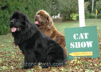 They've gotta come out sometime!