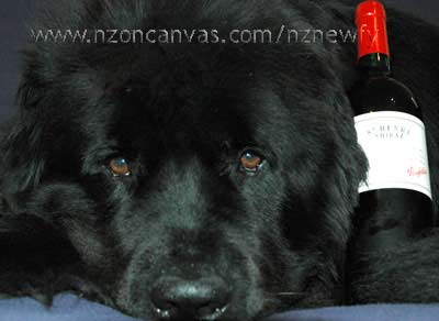 Henry's fourth Birthday with St Henri