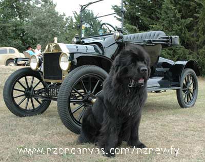 'Henry T Ford' with Henry's T Ford...