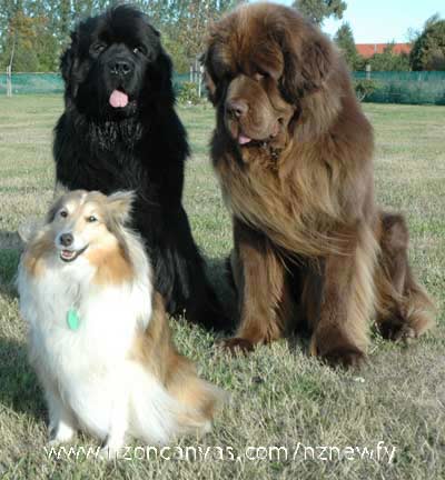 Enzo still intrigued...