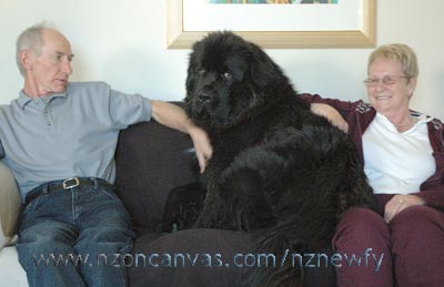 Newfoundland Henry with his 'Grandparents'