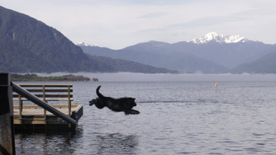 Newfoundland 'Kiwa' in action