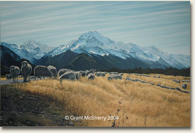 Merino sheep at Aoraki Mt Cook. Painting by Grant McSherry