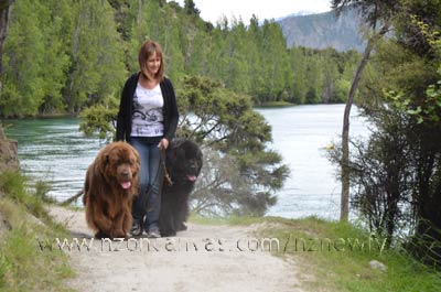 Newfoundlands Henry & Enzo beside the Clutha River