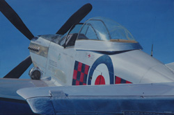 Grant McSherry P51 D Mustang Painting