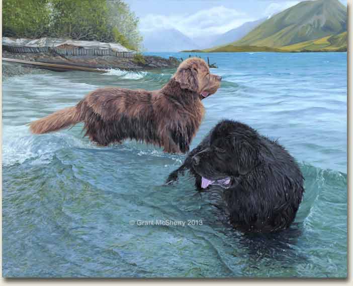 Newfoundland dog painting, Grant McSherry 